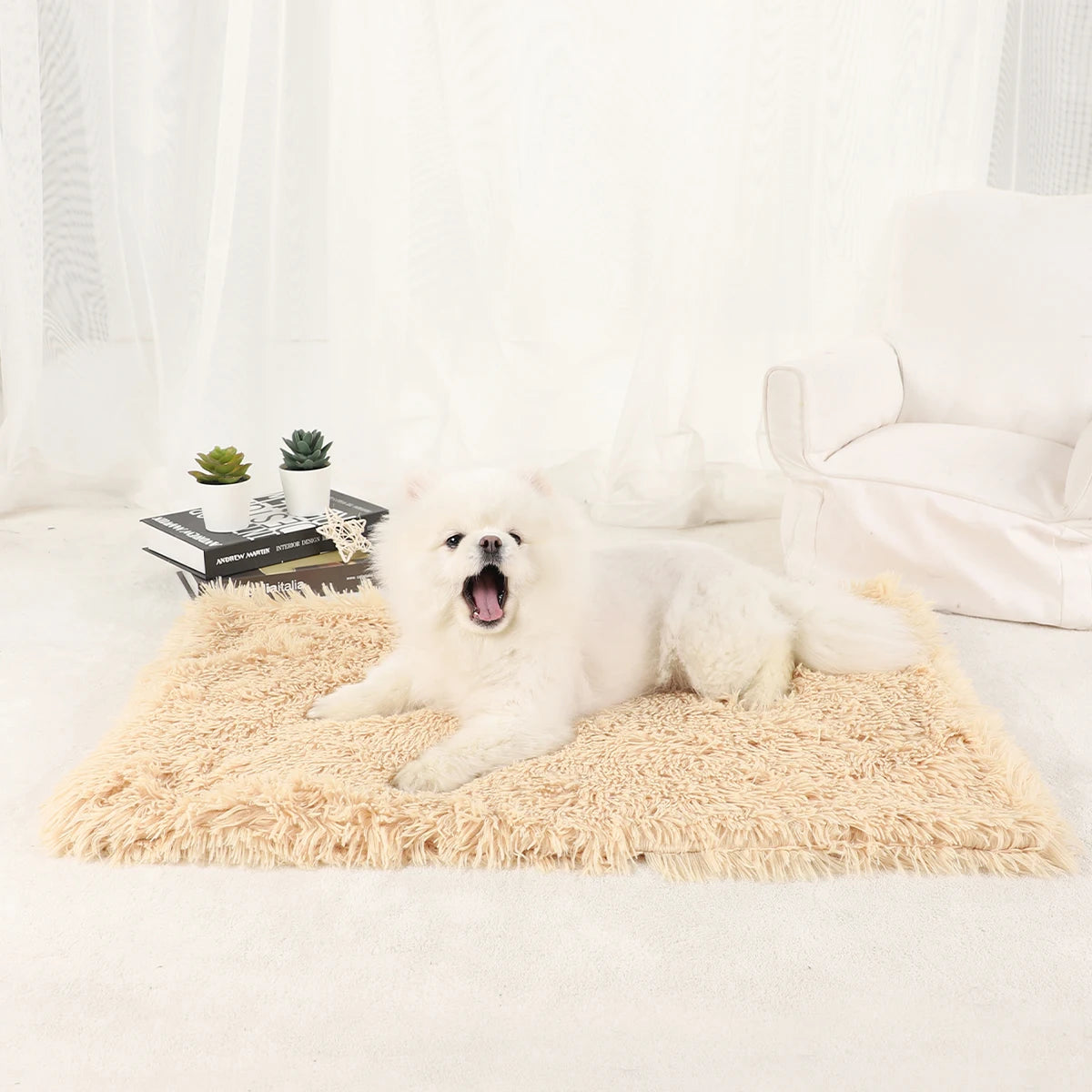 Plush Doggie Blanket/Bed