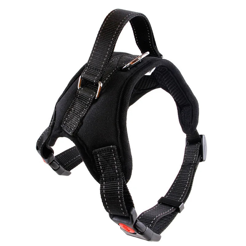 Harnesses, Leashes, Carriers, Car Seats