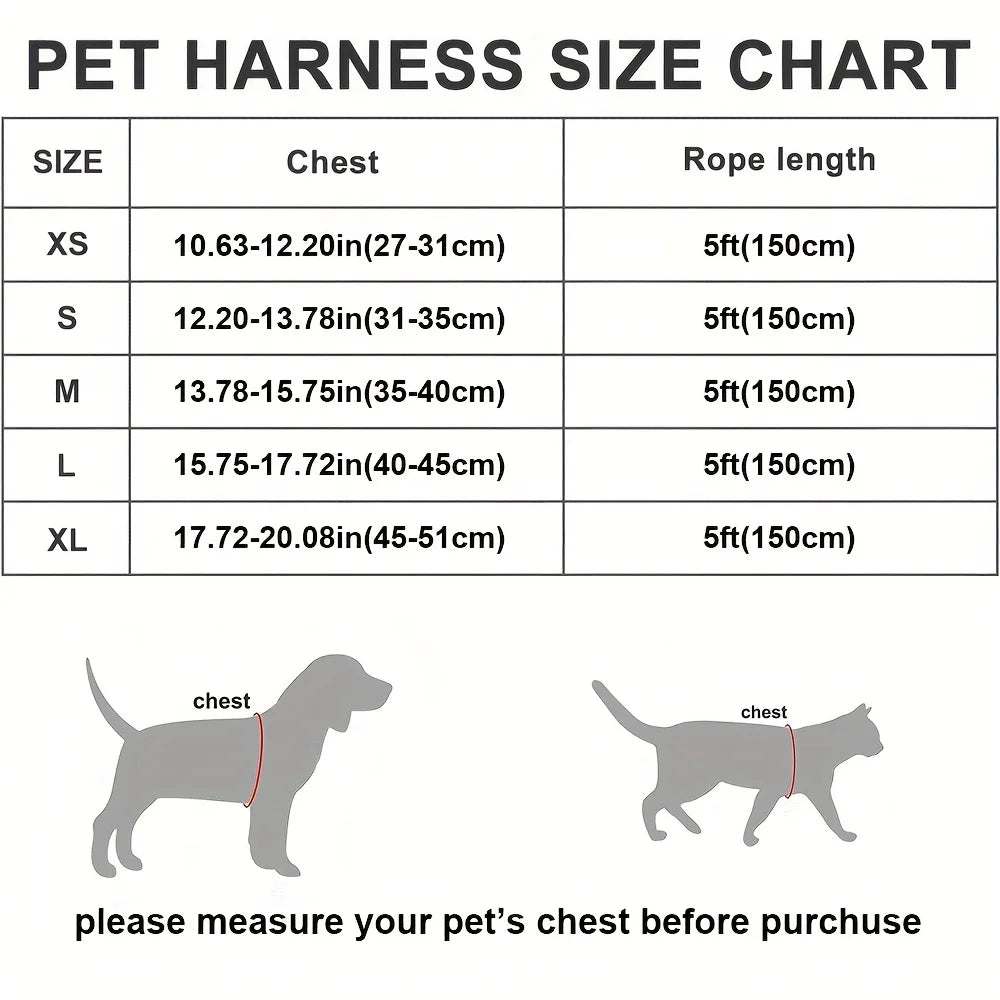 Harness and Leash Set