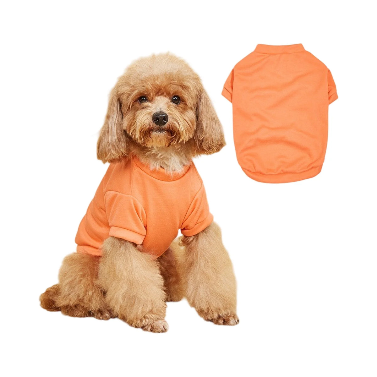 Summer Breathable Doggie Tee