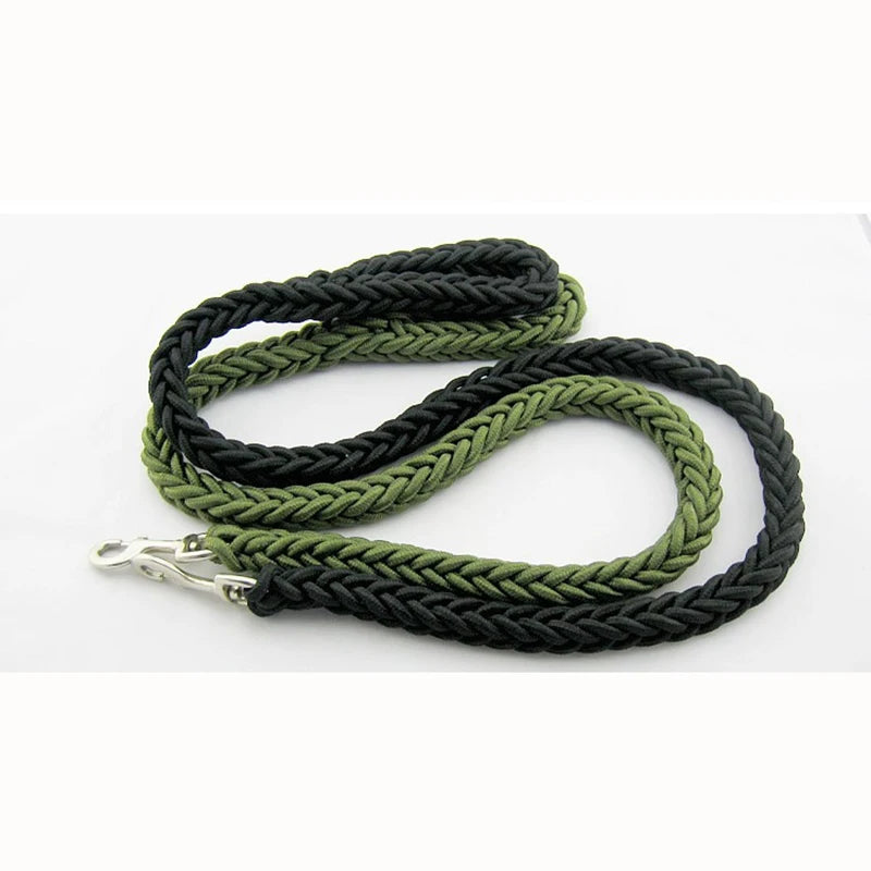 Nylon Dog Leash