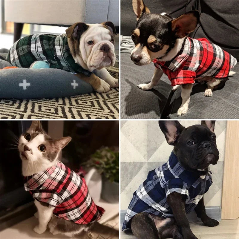 Doggie Plaid Collar Shirt