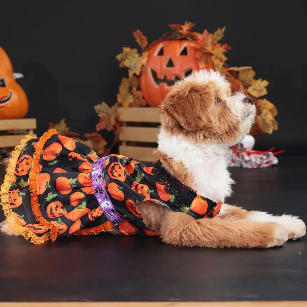 Halloween Pumpkin Doggie Dress For Small Breeds