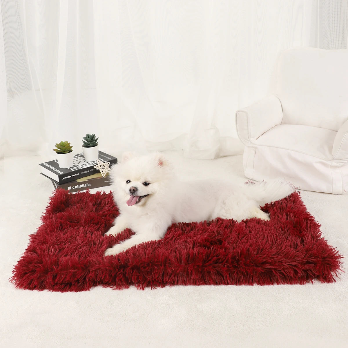Plush Doggie Blanket/Bed