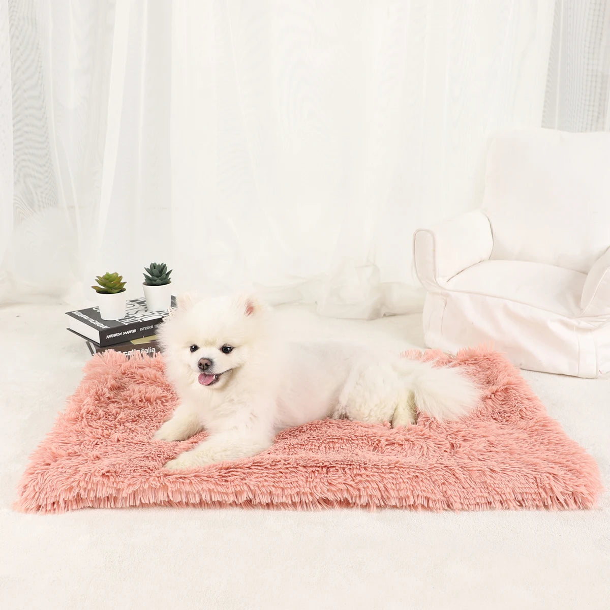 Plush Doggie Blanket/Bed