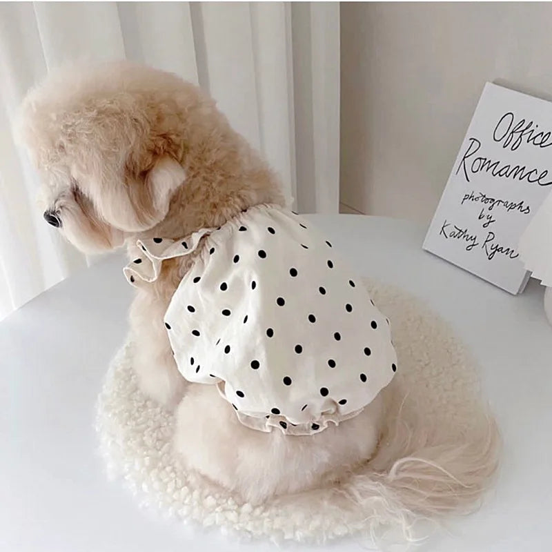 Doggie Summer Dresses