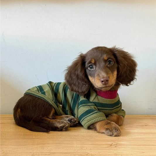 Striped Breathable Sweater
