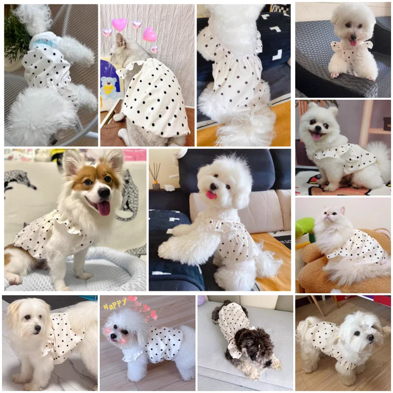 Doggie Summer Dresses