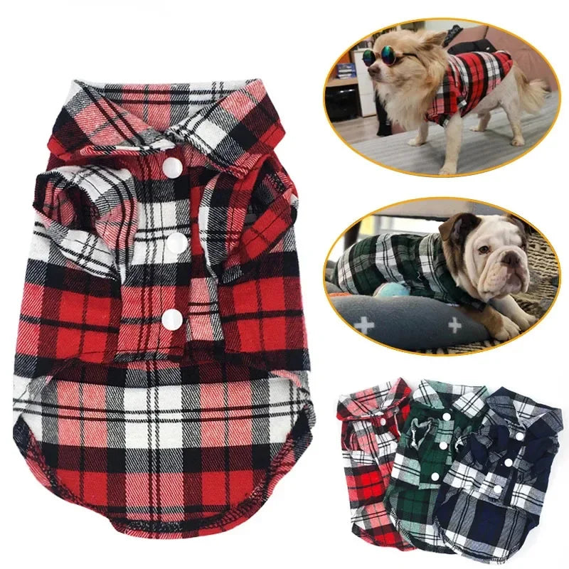 Doggie Plaid Collar Shirt