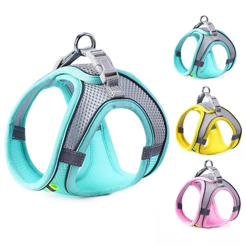 Chest Rope Dog Harness