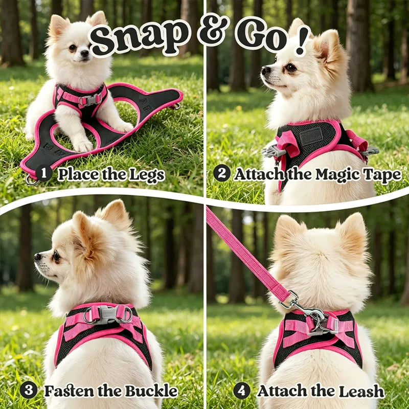 Harness and Leash Set