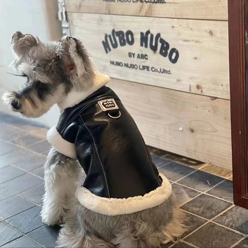 Doggie Motorcycle Jacket