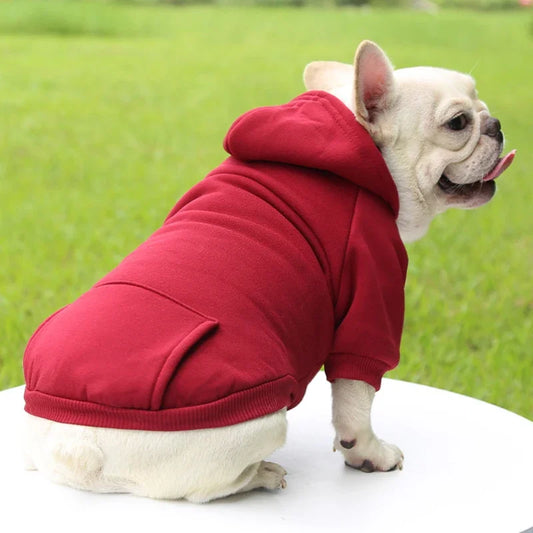 Doggie Hoodie with Pocket