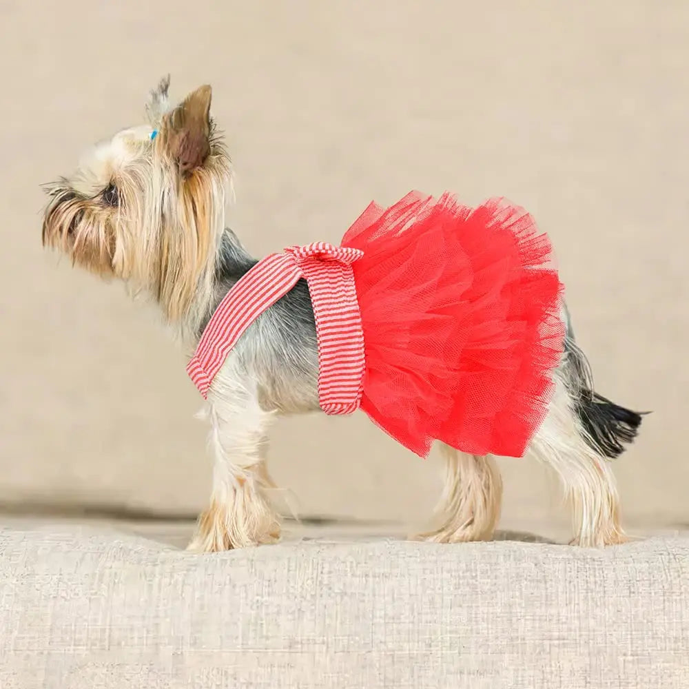 Formal Tutu Dress