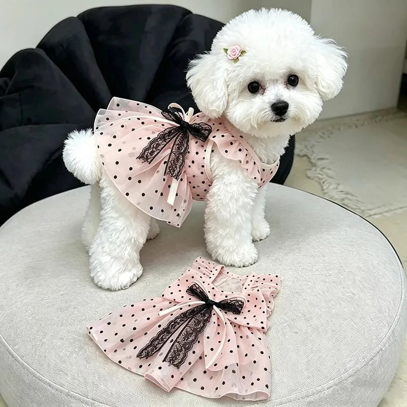 Polka-Dot and Bow Doggie Dress