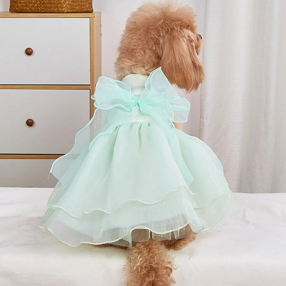 Formal Princess Doggie Dress