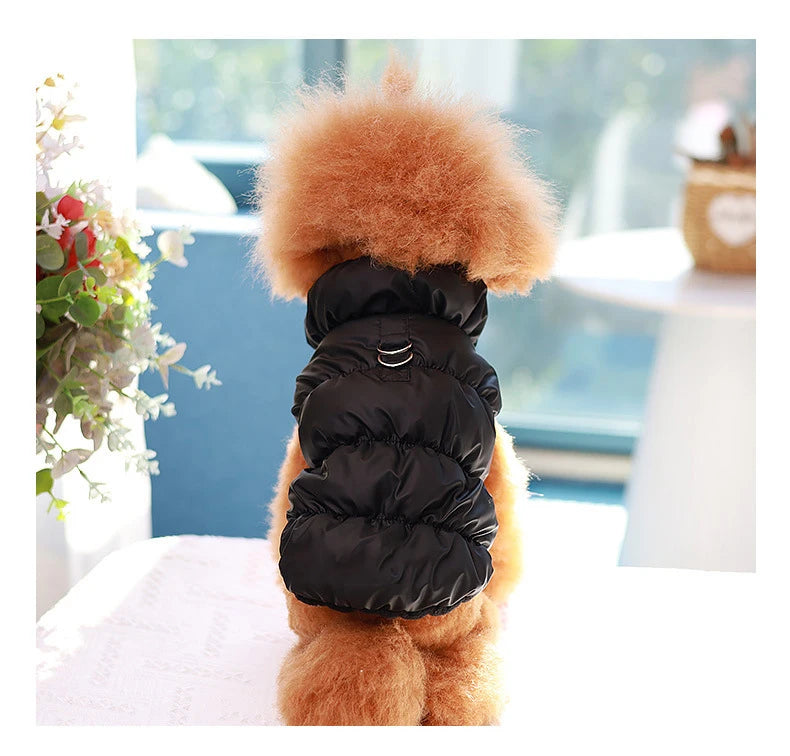 Winter Insulated Doggie Jacket
