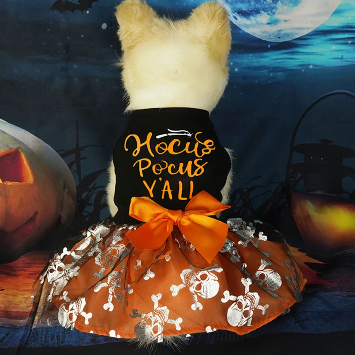 Halloween Doggie Dress