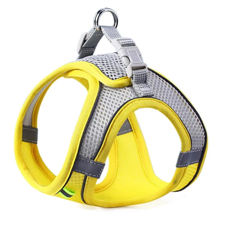 Chest Rope Dog Harness