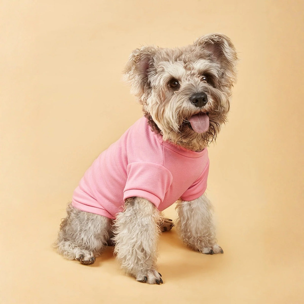 Summer Breathable Doggie Tee