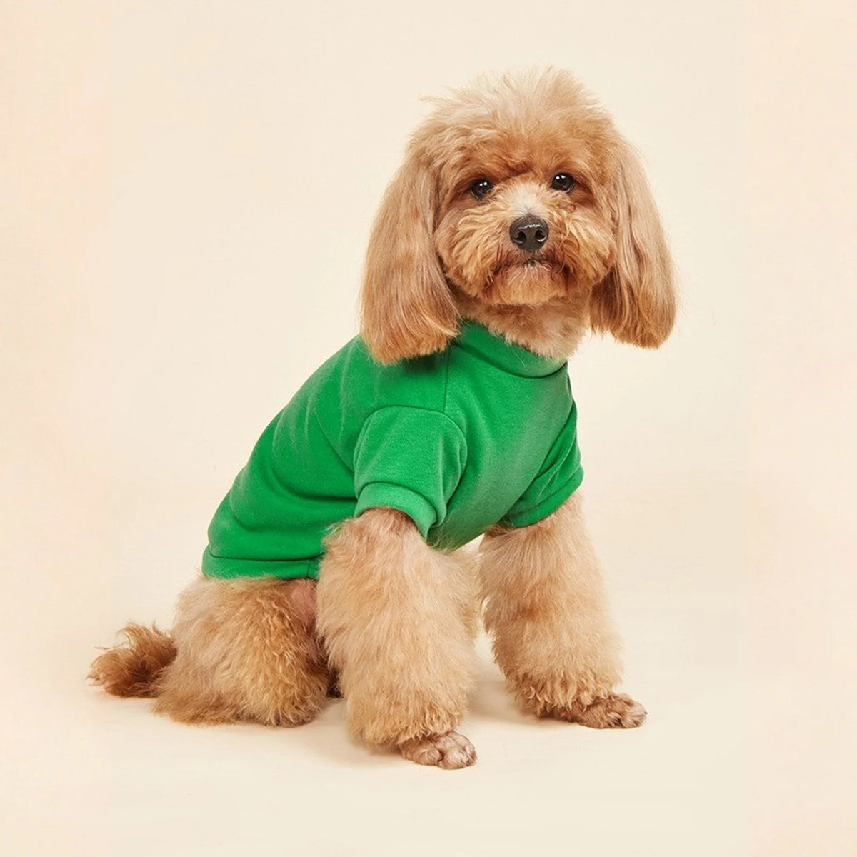 Summer Breathable Doggie Tee