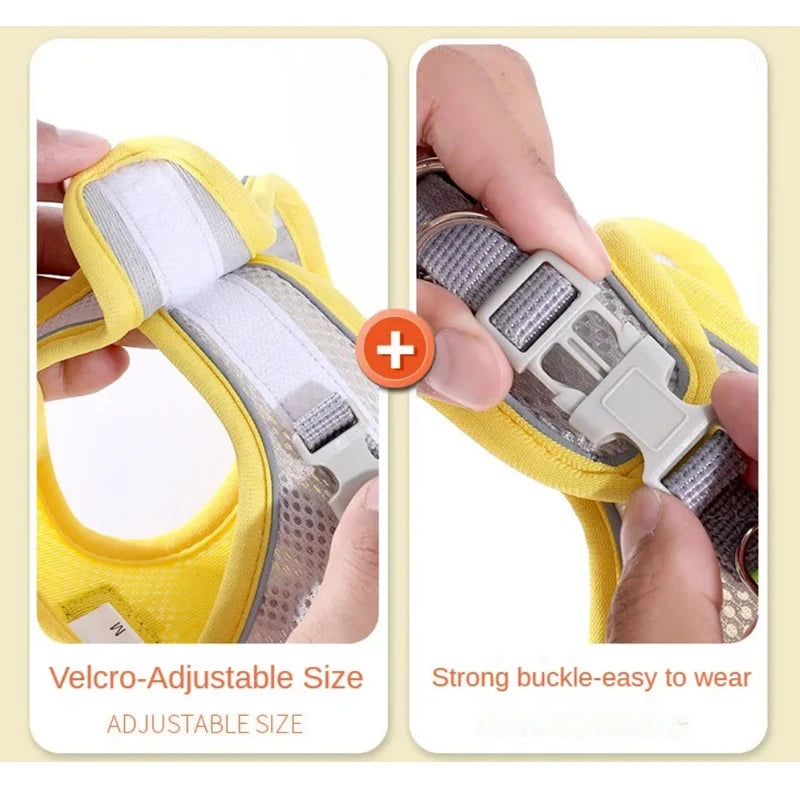 Chest Rope Dog Harness
