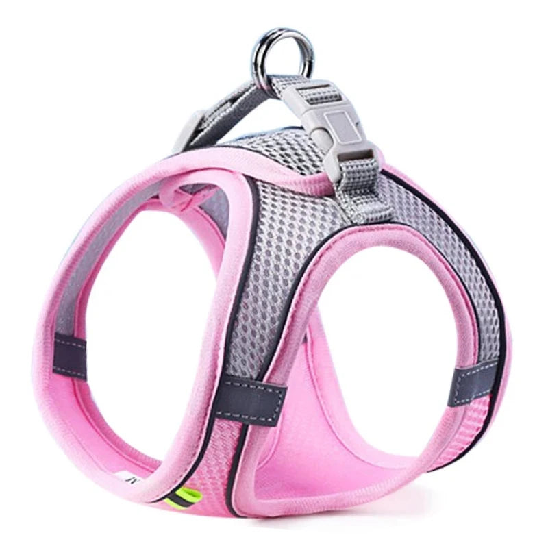Chest Rope Dog Harness