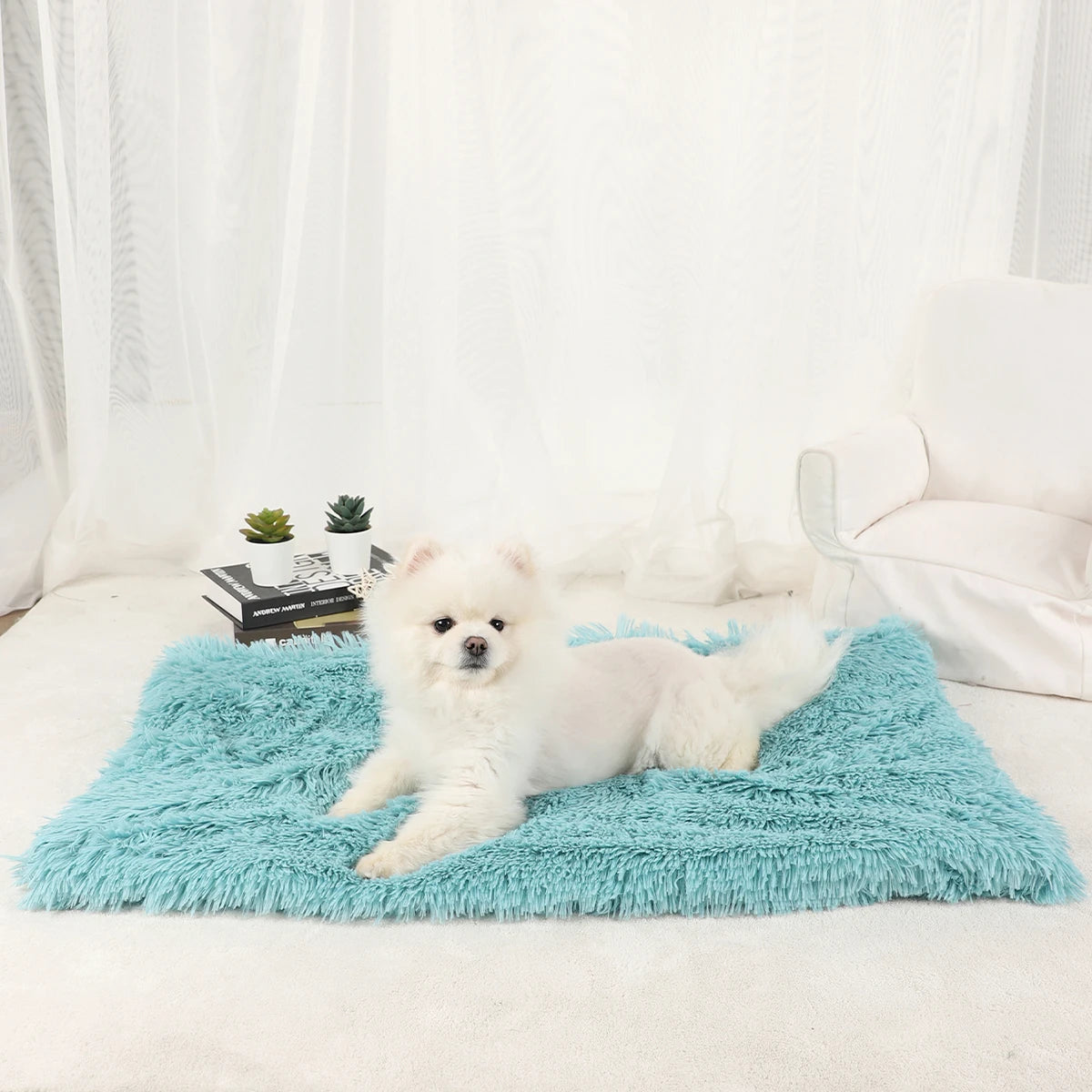 Plush Doggie Blanket/Bed