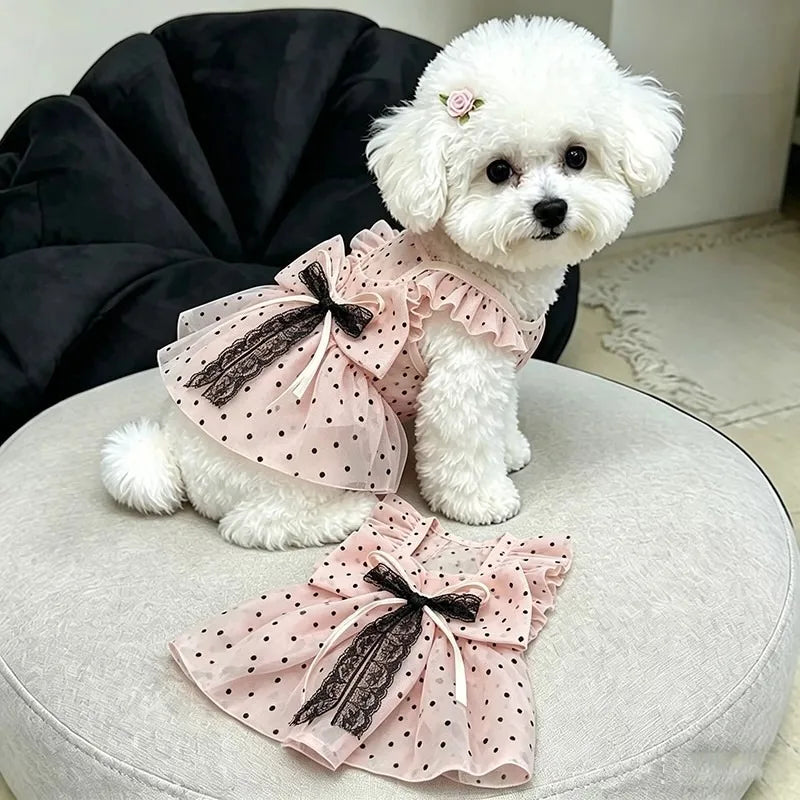 Polka-Dot and Bow Doggie Dress