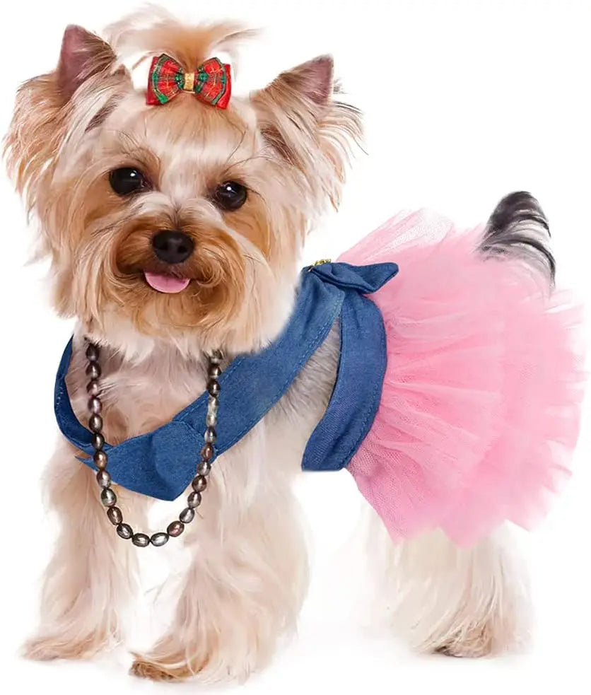 Formal Tutu Dress