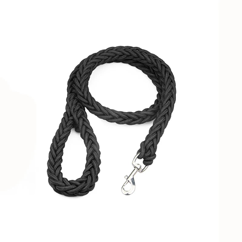 Nylon Dog Leash