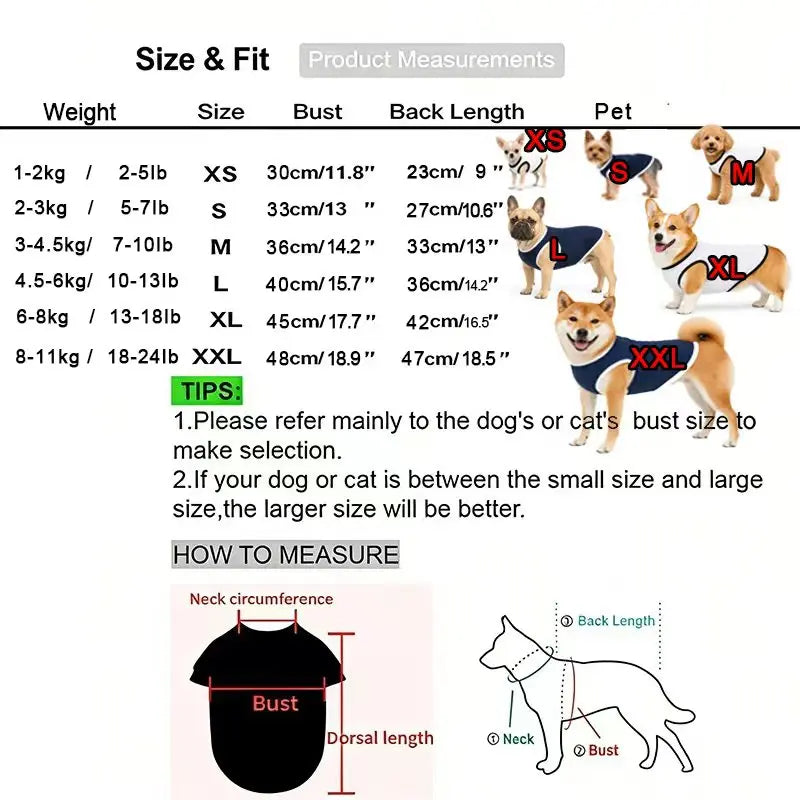 Festive Doggie Tee