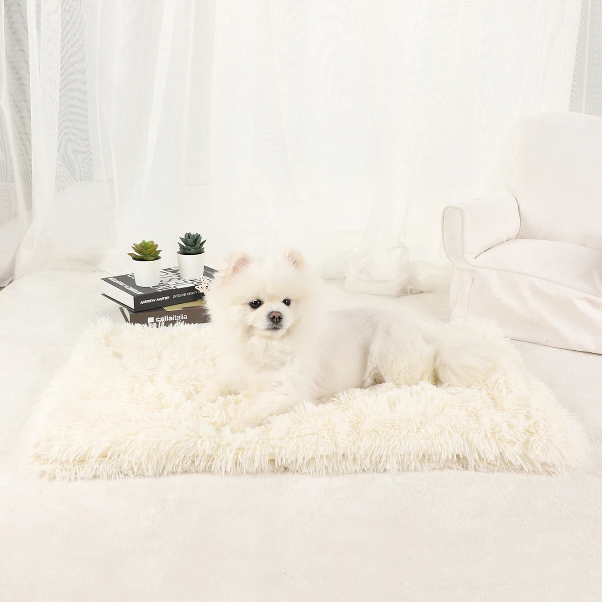 Plush Doggie Blanket/Bed
