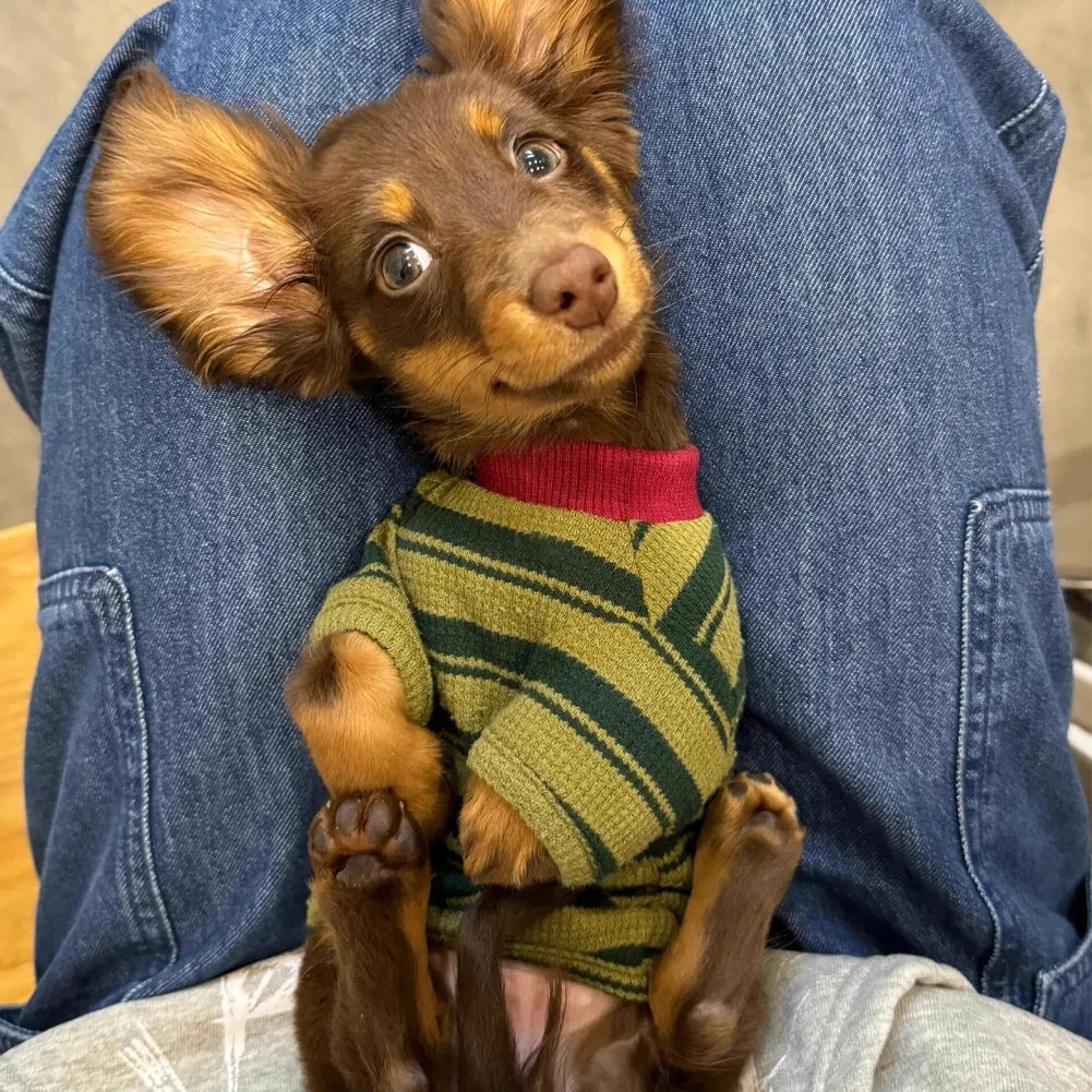 Striped Breathable Sweater