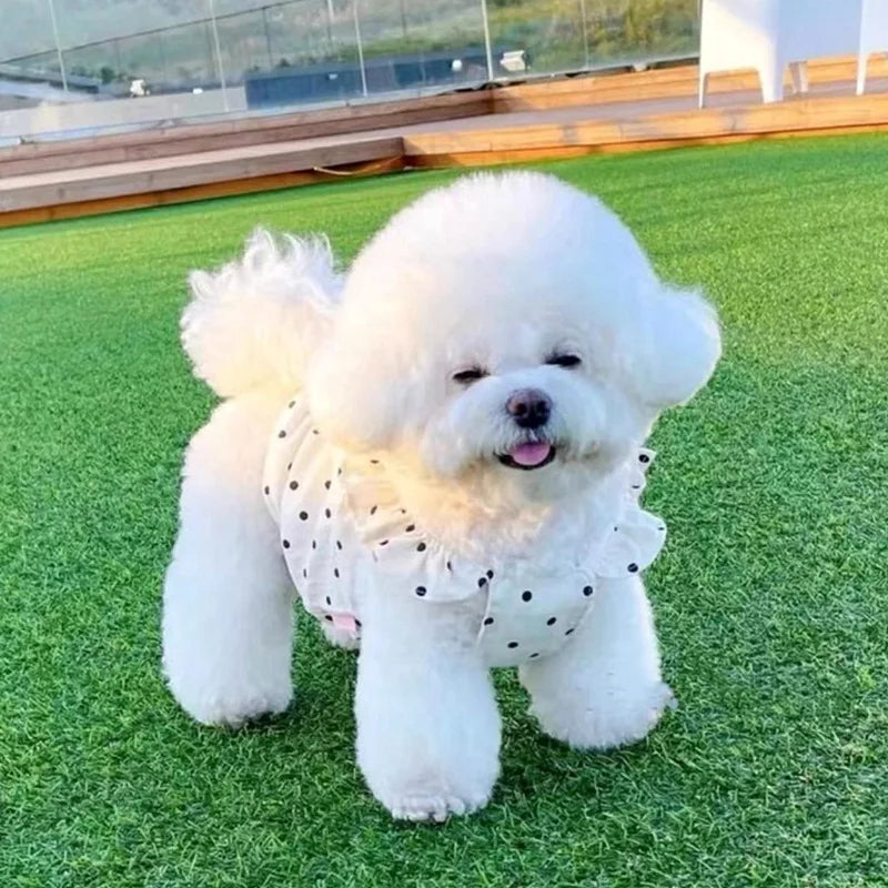 Doggie Summer Dresses