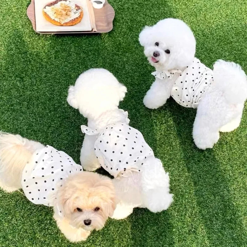 Doggie Summer Dresses