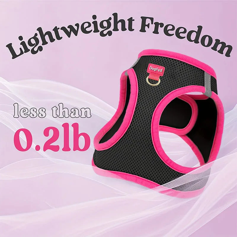 Harness and Leash Set