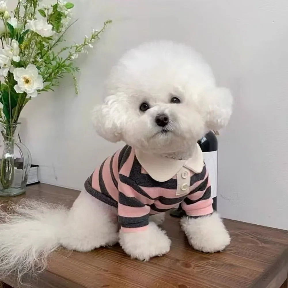 Striped Collared Doggie Shirt