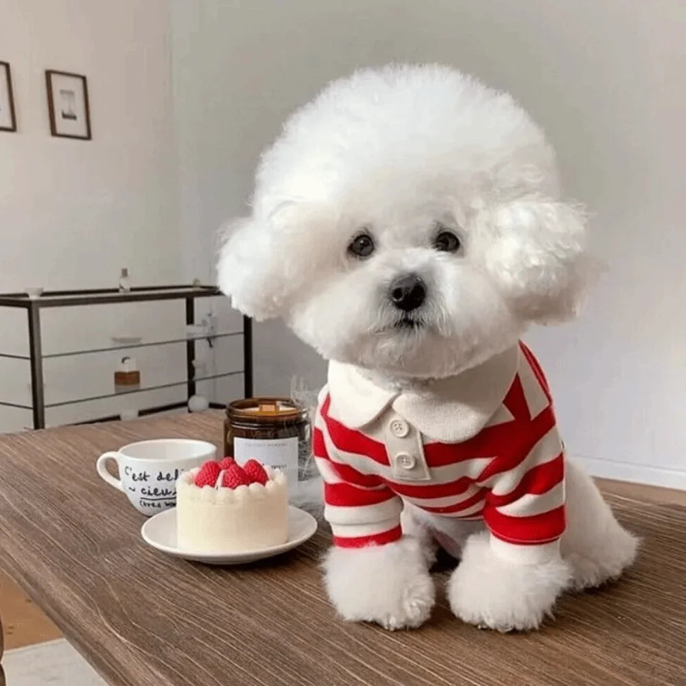 Striped Collared Doggie Shirt