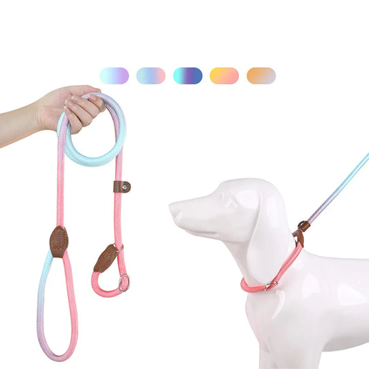 Dog Training Leash