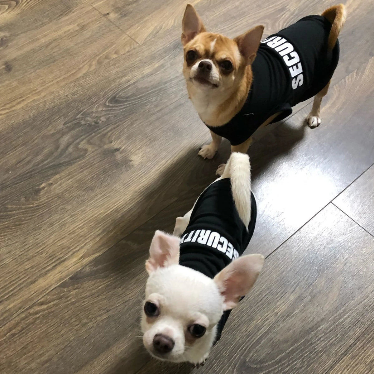 Security Doggie Tee