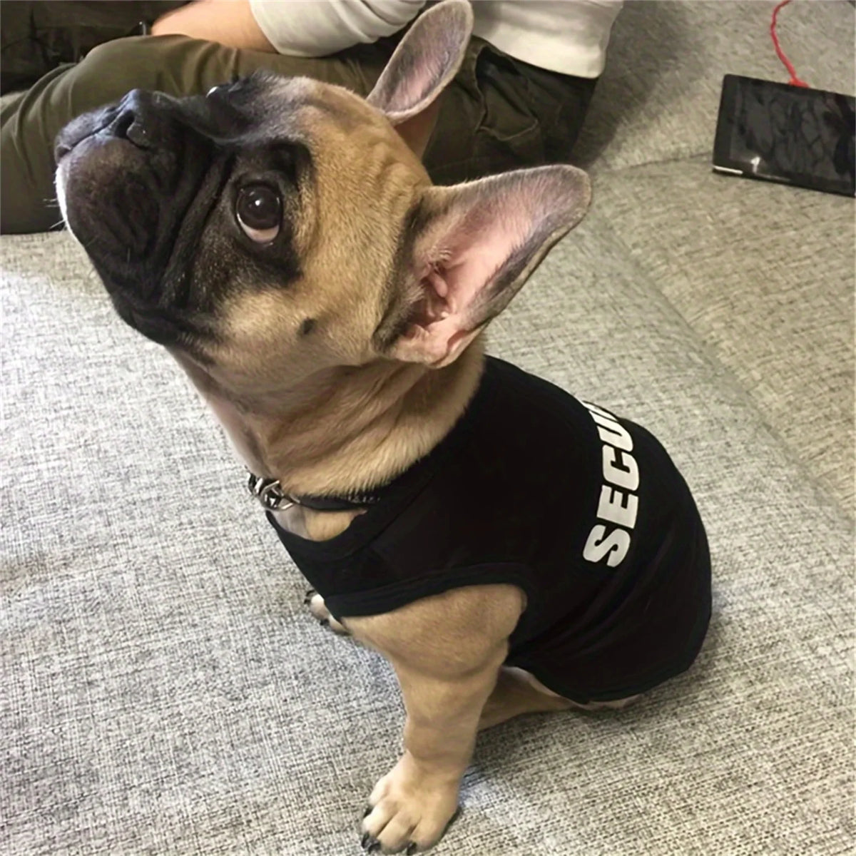Security Doggie Tee