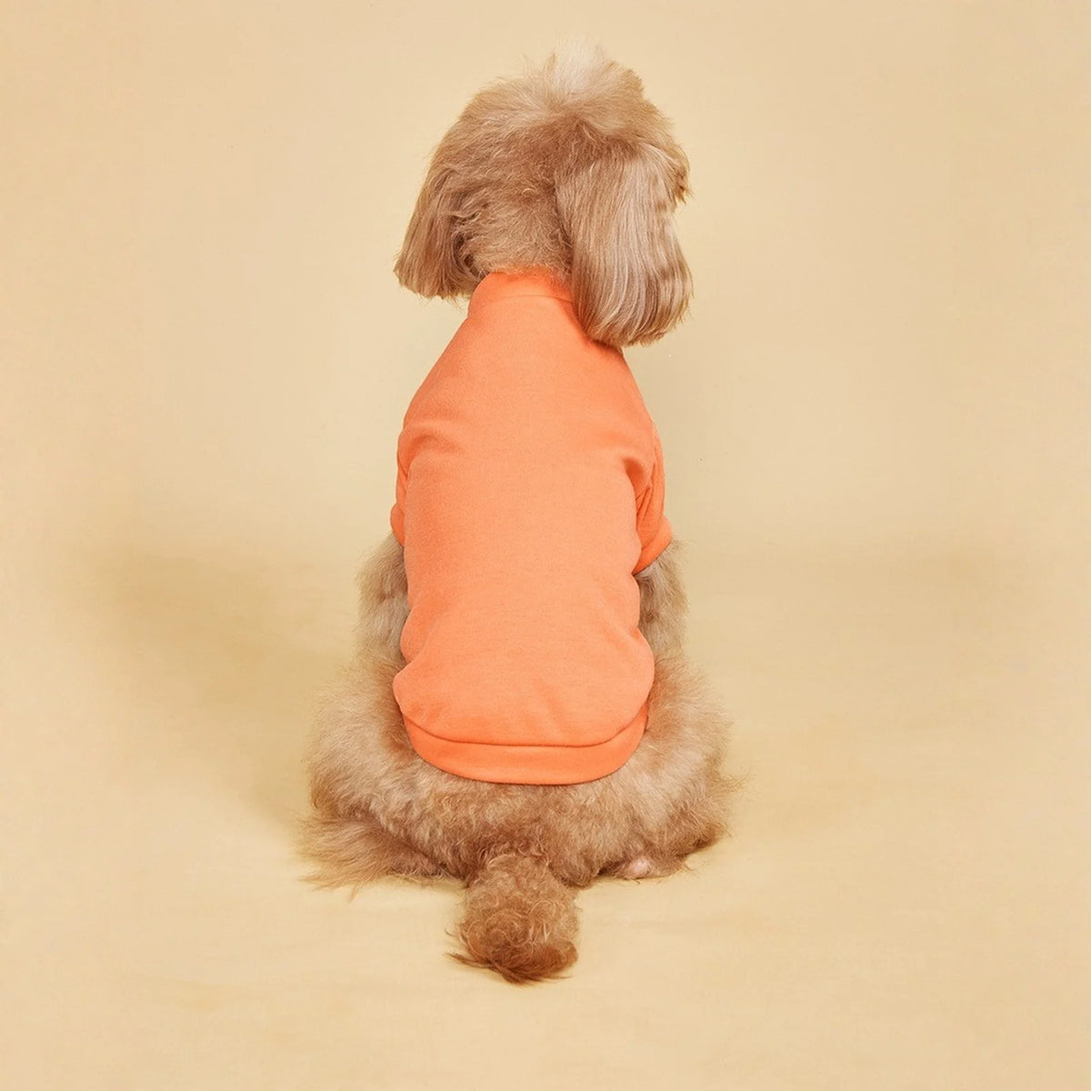 Summer Breathable Doggie Tee