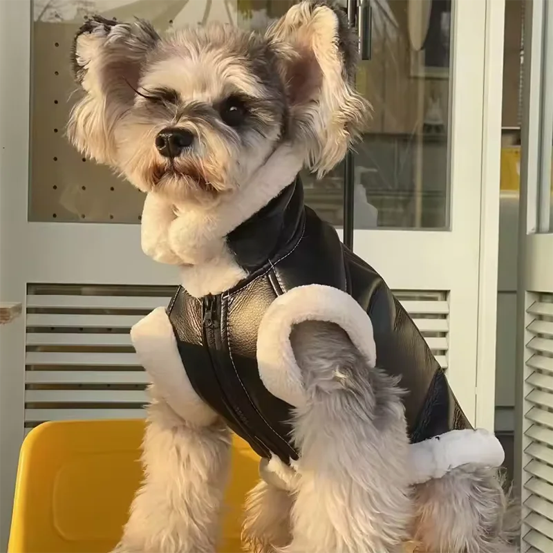 Doggie Motorcycle Jacket