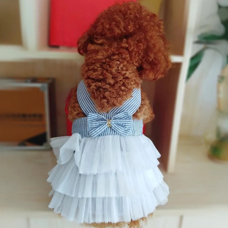 Dazzling Tutu Doggie Dress