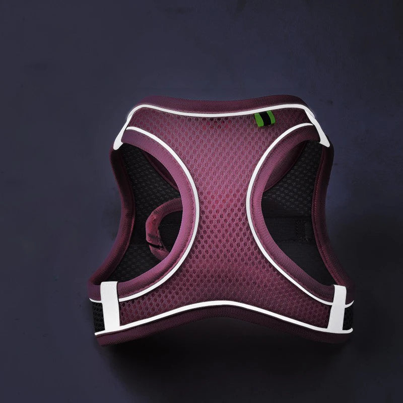 Chest Rope Dog Harness
