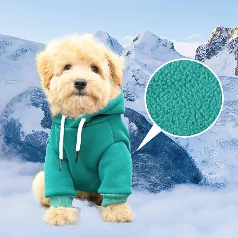 Fleece Doggie Hoodie