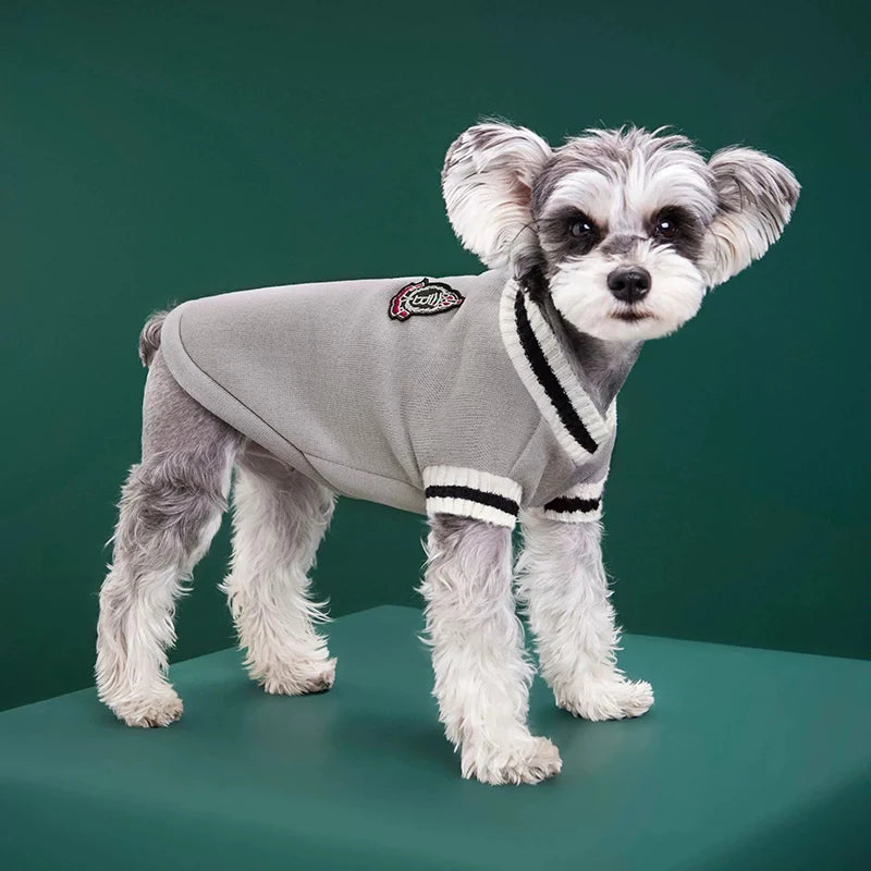 College Style Doggie Sweater