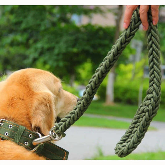 Nylon Dog Leash