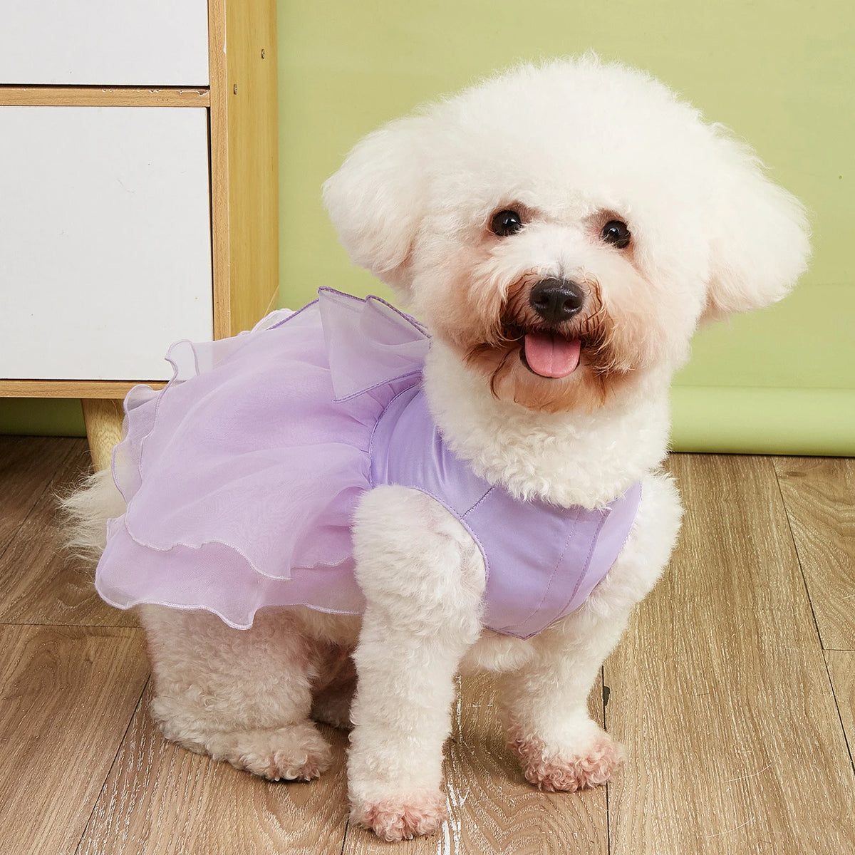 Formal Princess Doggie Dress